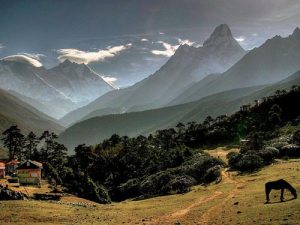 The Himalayas Again: Source Of Bliss and Wonder